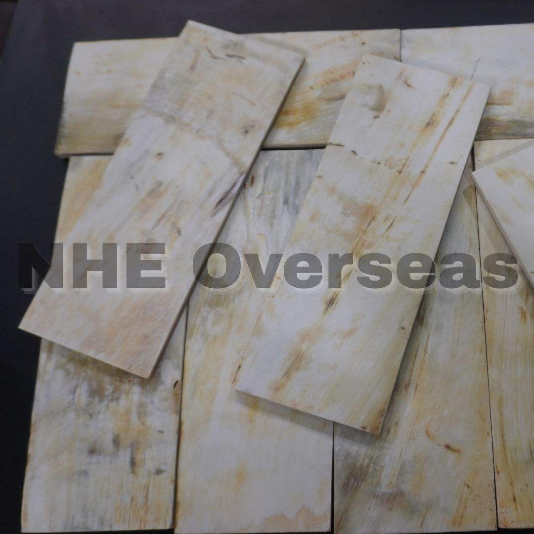 ธรรมชาติ