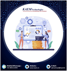 Software finanziario personalizzato di qualità premium speciale che registra tutta l'attività finanziaria all'interno di un'organizzazione aziendale. - Product Image 6