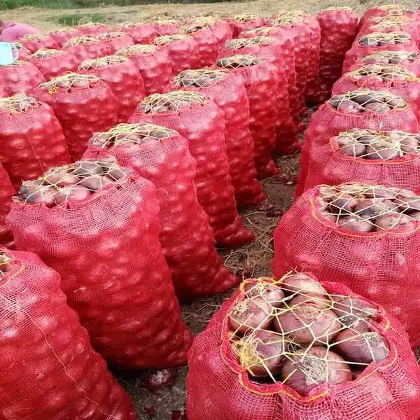 Vegetales chinos frescos de alta calidad, cebolla roja y amarilla, precio por tonelada, cebollas peladas a granel, exportadores mayoristas en China