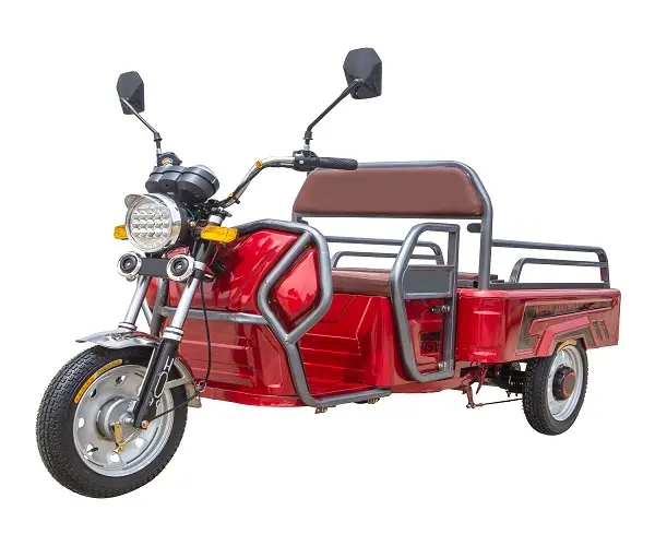 Triciclo per carichi pesanti di nuova progettazione vendita calda moto a tre ruote prezzo economico triciclo motore 2021 tre ruote