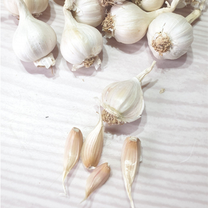FREE TAX - BIG SALE Vietnam Ly Son Island White Fresh Garlic Wholesale / Export to China, EU, USA, Korea