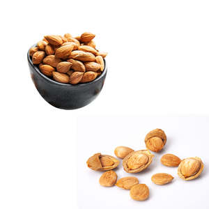 Apricot Kernel | Rich in Natural <strong>Oil</strong> for Cosmetic Use - Product Image 2