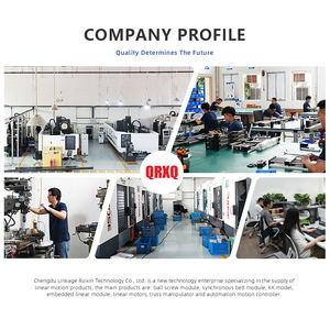 Guías de movimiento lineal CNC QRXQ de 100mm-6000mm de tamaño personalizado para proyectos robóticos guía de pórtico rieles lineales pórtico - Product Image 4
