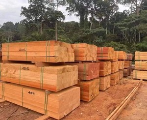レッドメランティ木材木工および建設産業向けの多用途で価値のあるアカシア素材
