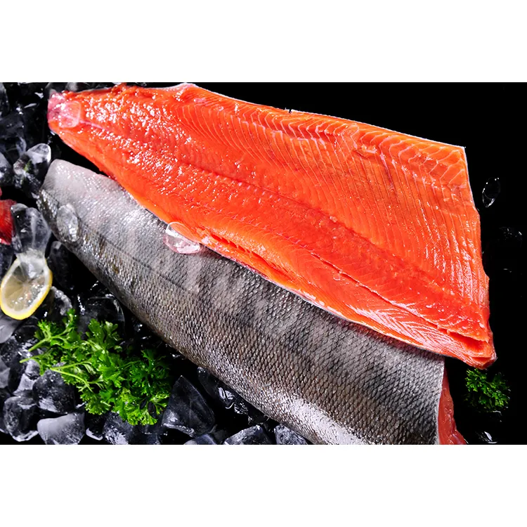 Salmon Segar Beku Ikan Salmon untuk Dijual