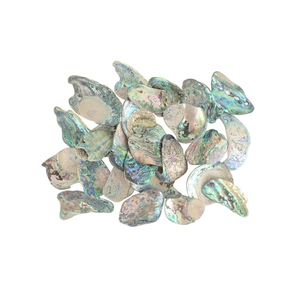 Unpolished Mini <strong>Paua</strong> Shells in Customized Shape - Product Image 3