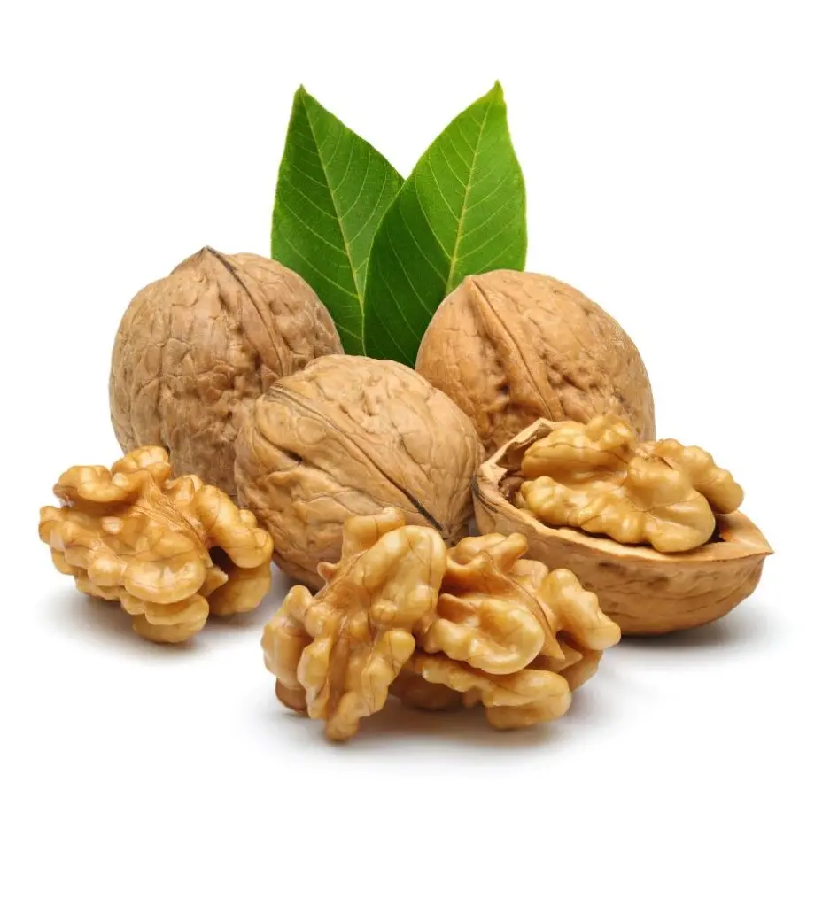 Nueces crudas naturales con cáscara, nueces orgánicas saludables de calidad alimentaria, nueces secas de alta calidad a la venta a granel