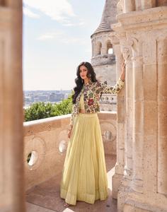 <strong>choli</strong> - Product Image 2