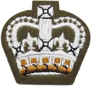 ストライプパッチパッチプライベートE2黄色の刺Embroidered鉄をパッチバッジで縫う - Product Image 2
