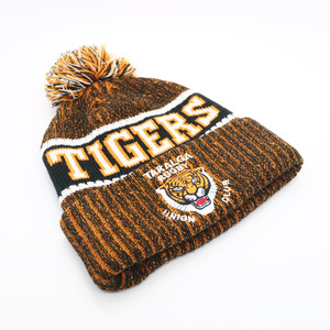 Tùy Chỉnh Chunky Đội Thể Thao Mùa Đông Đan Pom Pom Beanie Hat Với Đội Logo Thêu - Product Image 2