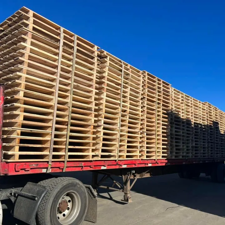 Nhà máy cung cấp Pallet gỗ Euro