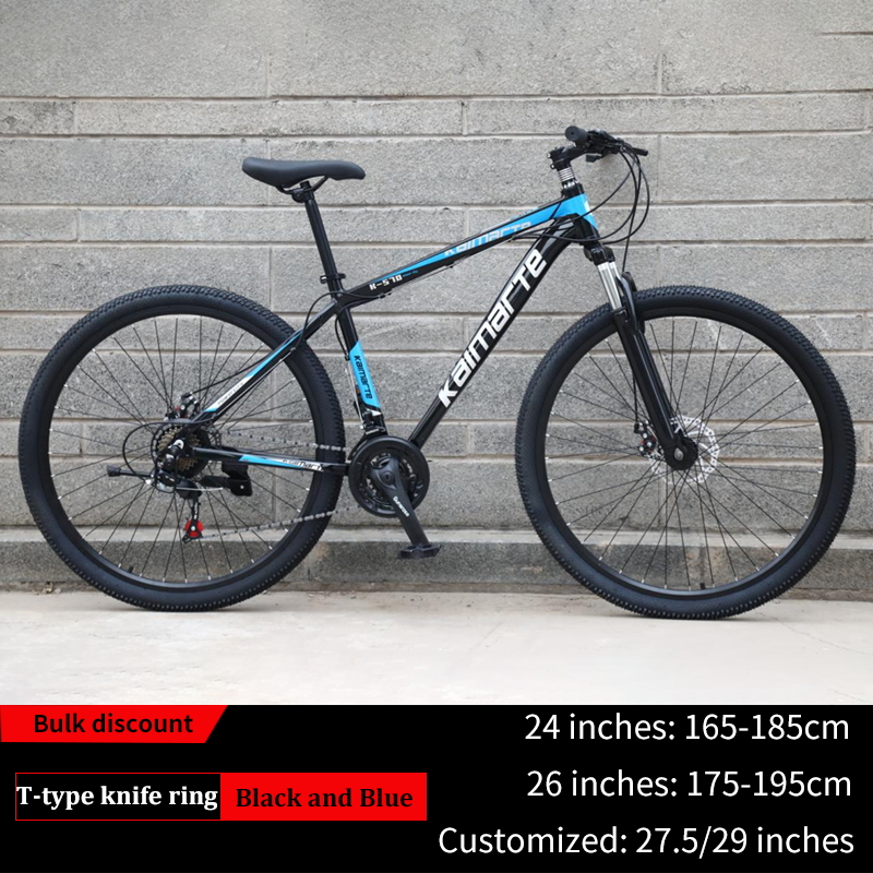 Moutain Bike 22
