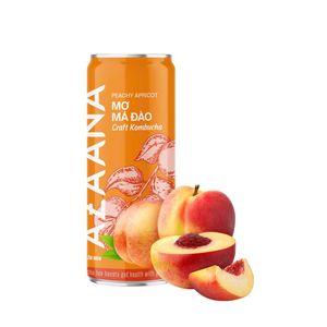 Vietnamca üretim Kombucha şeftali lezzet konsantre karışık meyve suyu tatlı ve ekşi notlar doğal işlenmiş - Product Image 5