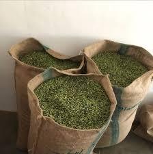 热销优质绿色豆蔻种子工厂供应低价干香料-丁香肉桂姜黄香草香料