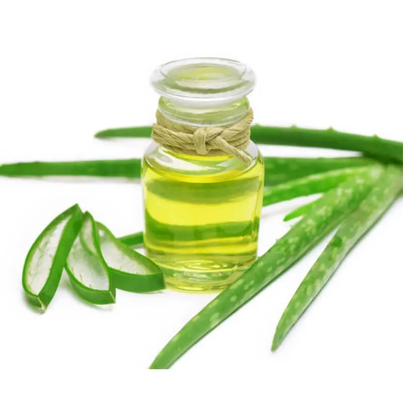 Harga grosir minyak pembawa Aloe Vera bersertifikat ISO & Minyak organik untuk biaya yang kompetitif