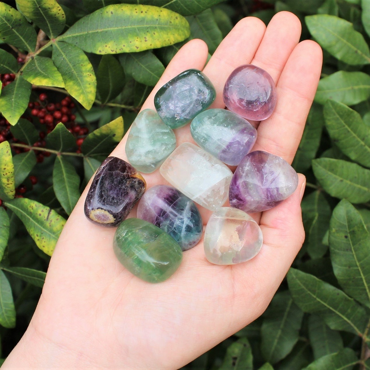 COMME INDIQUÉ DANS L'IMAGE