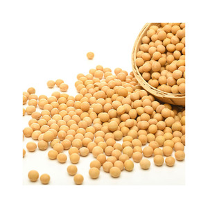 Soja Soyabean 50kg torba filizlenme ve gıda sınıfı kuru sarı soya tohumu olmayan gdo soya fasulyesi - Product Image 5