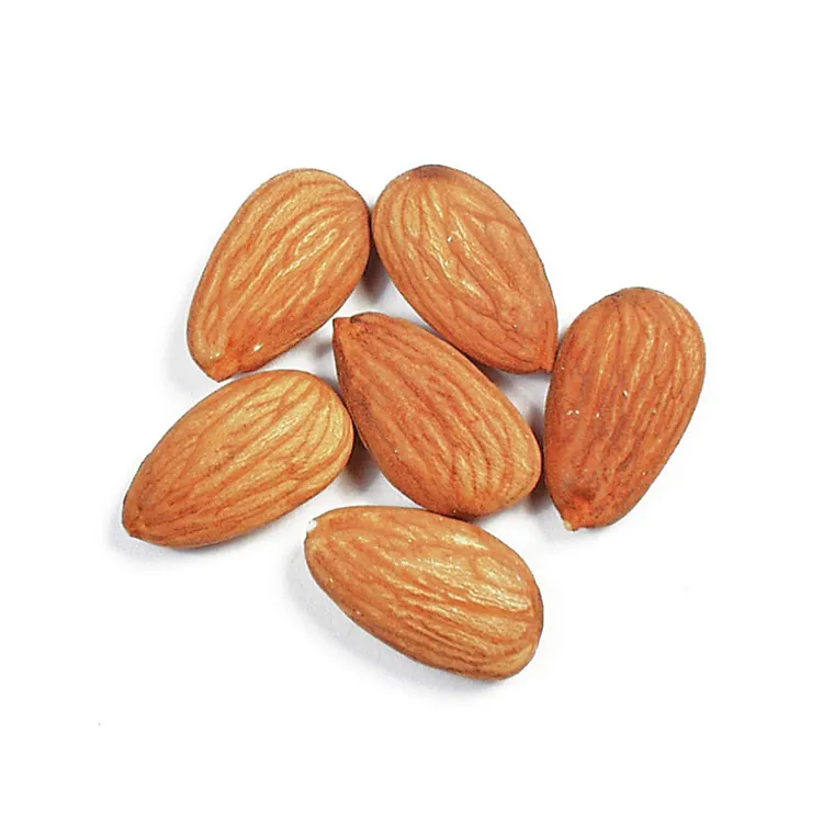 Kualitas Tinggi Badam Almond Kacang Almond Mentah Biji Almond untuk Dijual