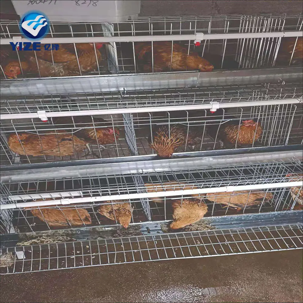 Pena ayam jantan ekstra besar kandang ayam kayu pena pembiakan kandang ayam untuk dijual kandang ayam