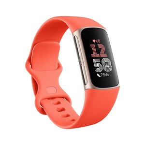 Fitbit Google Charge 6アクティビティトラッカー、8GB ROM 4GB RAM 16GBフラッシュ、Androidオペレーティングシステム用利用可能英国EUプラグタイプ