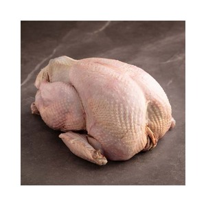100% NATURAL FROZEN WHOLE <strong>TURKEY</strong> in LOW PRICE FINE QUALITY in GOOD TASTE - Product Image 1
