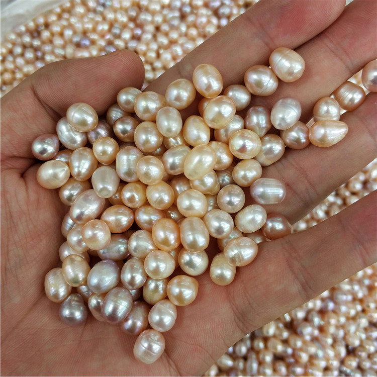 Une huître, une perle (Perle de riz 2A ; Couleurs mélangées, 5-6 mm)