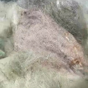 Multifilament & Monofilament fishnets chất thải nhựa phế liệu nylon chất liệu nhựa lưới ứng dụng đúc dịch vụ chế biến - Product Image 2