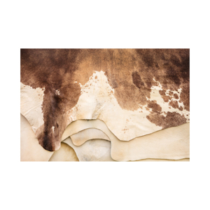 Nhà cung cấp bán buôn của ướt Muối da dê dê da với mái tóc trên số lượng lớn số lượng sẵn sàng cho xuất khẩu - Product Image 3