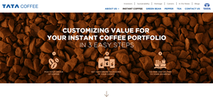 Nuevo diseño de sitios web y software de gestión de contenido personalizado para el crecimiento empresarial disponible al mejor precio