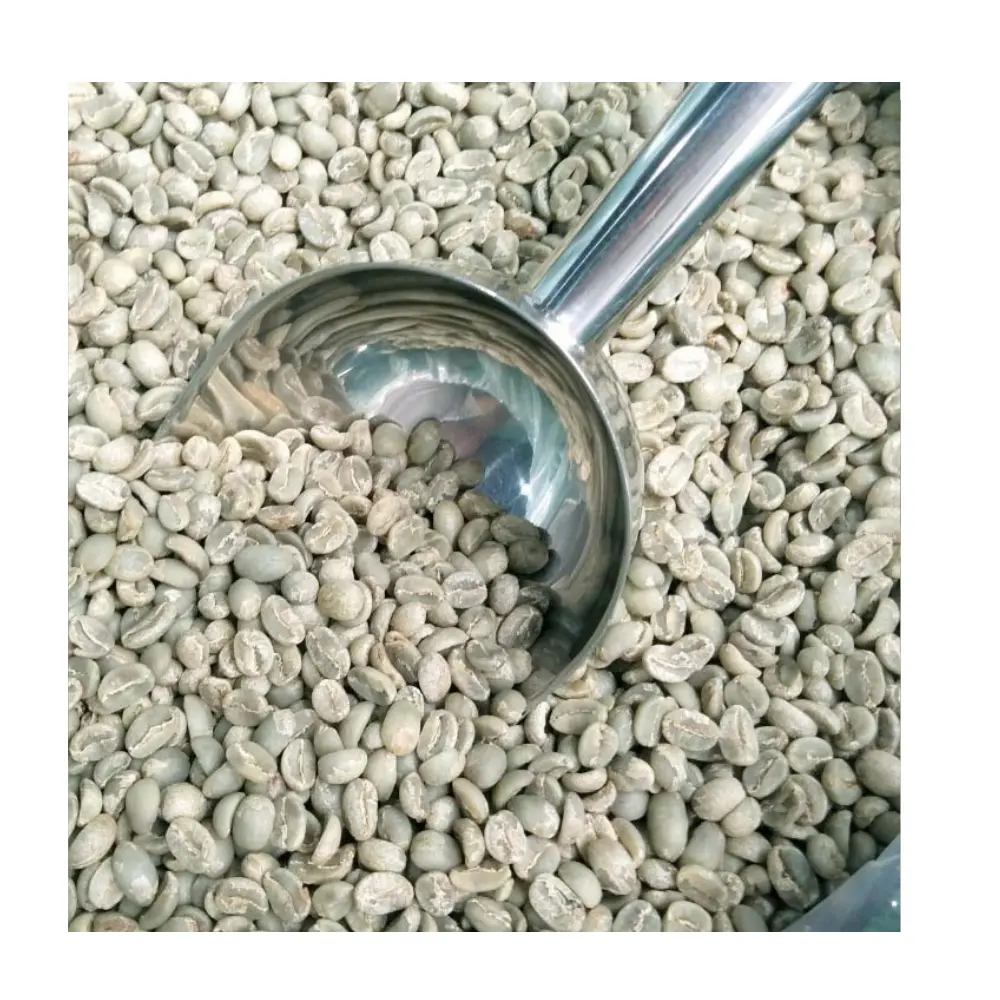 Grãos de café verde Robusta Arábica do Vietnã - Extrato de grãos de café verde em pó para processamento de grãos de café