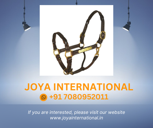 <span class=keywords><strong>HAVANA</strong></span> xoắn da ngựa dây dressage phía Tây headstall giải phẫu giải phẫu snaffle Hunter theo mùa - Product Image 2