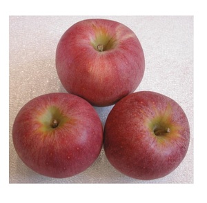 Buy Fresh <strong>Apples</strong> at Cheap Prices Bulk Orders Available Get Premium Quality <strong>Apples</strong> for Sale Worldwide Fast Delivery - Product Image 2