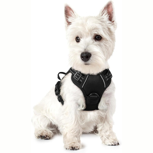 Harnais pour chien sans traction et ensemble de laisse noire gilet de harnais pour chiot robuste pour petits à grands chiens confortable et sécurisé - Product Image 4