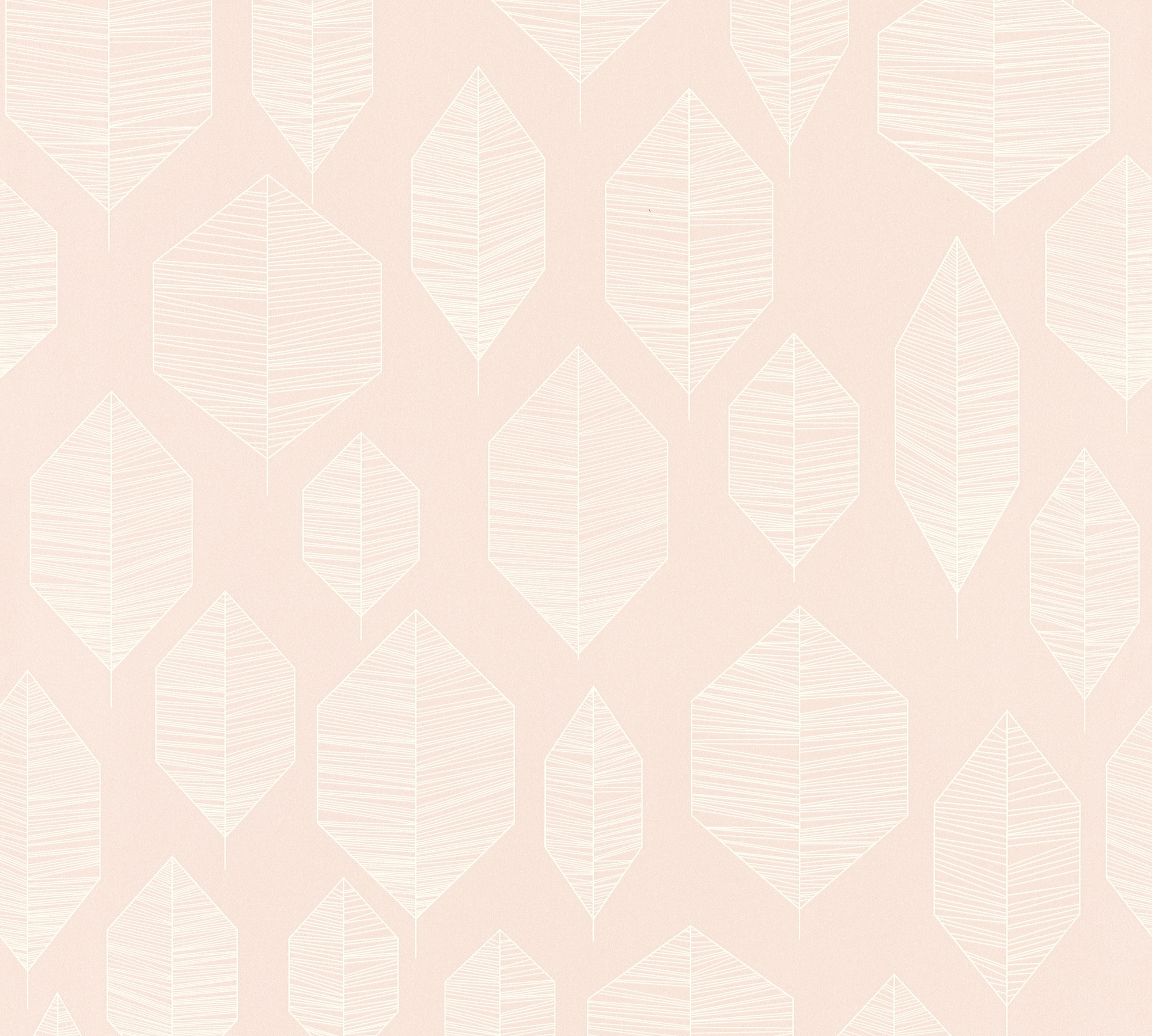 ชมพูขาว