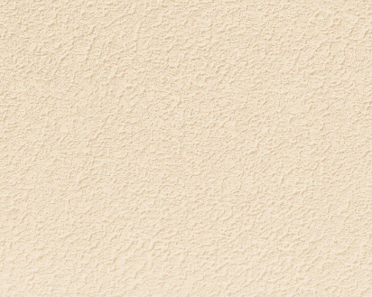 ดิบพร้อมย้อม