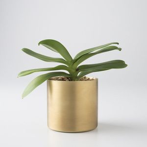 芸術的な庭のパティオと洗練された植物の魅力を持つ屋内コーナーのための詳細なレーザーカット金属プランター