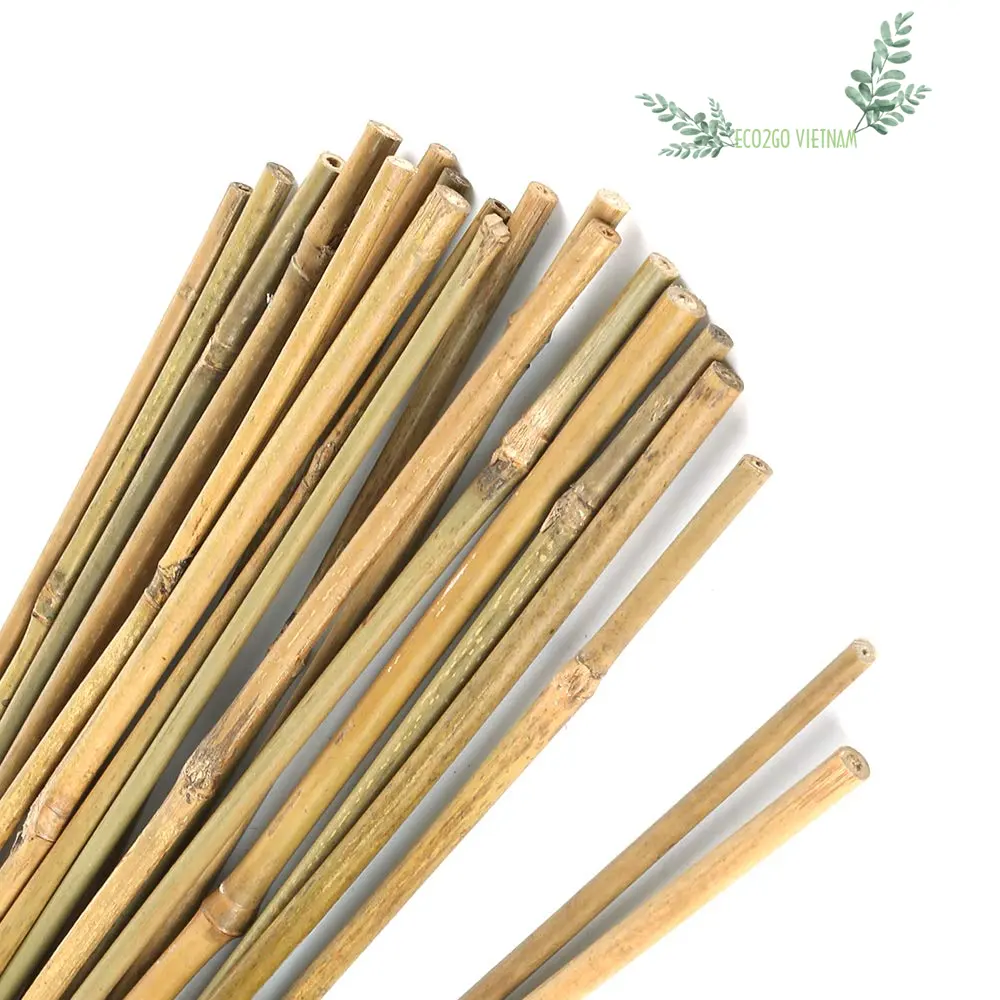 Top un produit pour le bâton de bambou de soutien de plante pour le jardin/bâtons de bambou décoratifs fabriqués par Eco2go Vietnam