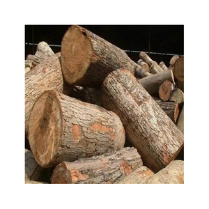 Toptan özel tik ahşap kapı günlükleri çam ve kırmızı sert ahşap/sıcak satış okaliptüs ahşap log dünya pazarı için ucuz fiyat ile dünya çapında - Product Image 2
