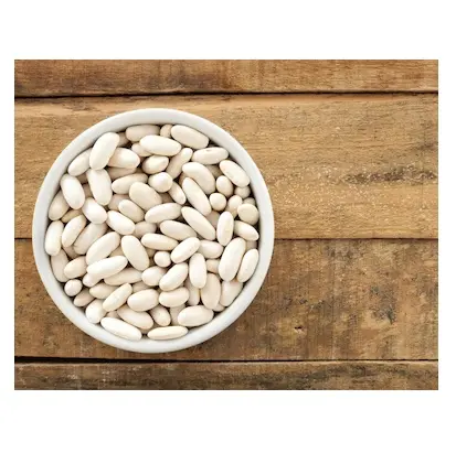 Best Price Direct Supply Natural White Kidney Beans Egyptian New Crop White Kidney Beans Bulk Fresh Stock Available For Exports