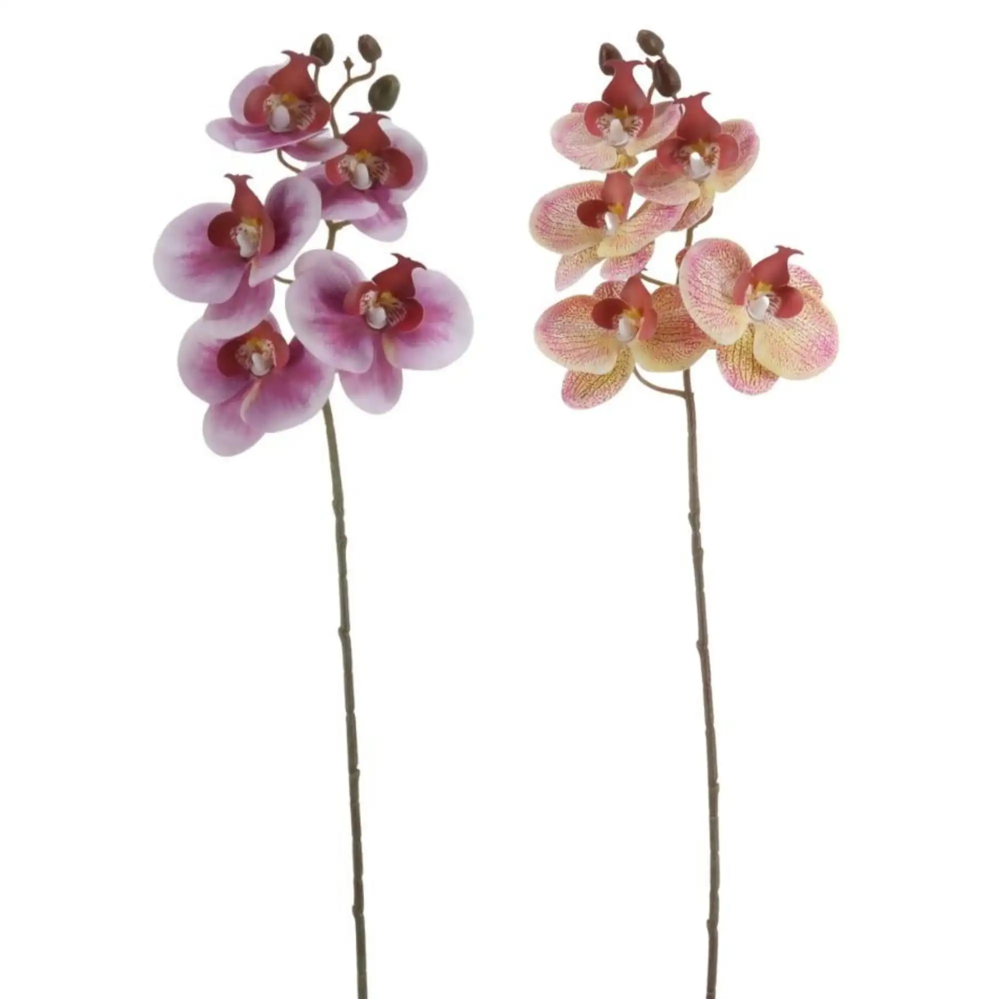Venta al por mayor flores artificiales 5 cabezas tallos de orquídeas PEVA Faux Phalaenopsis para arreglos florales de boda orquídeas artificiales