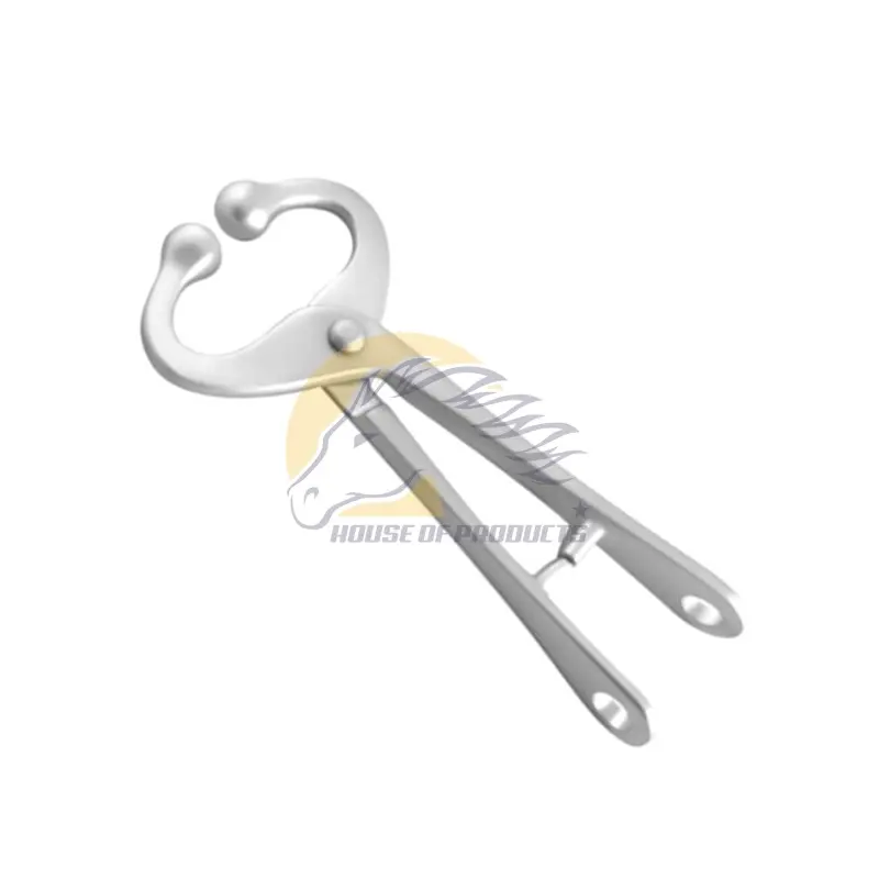 Bull Holder Without Chain Bull Lead Bull Holders Veterinary Instruments