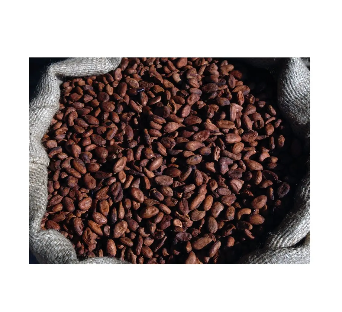 Лучшее качество Горячая цена продажи жареные какао бобы