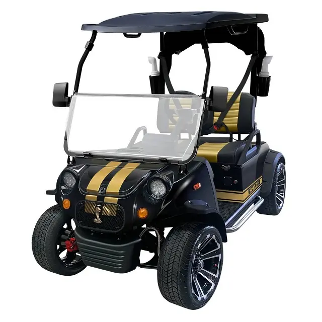 72V 5kw 4 tekerlekli Buggy M2 + 2 4 kişilik elektrikli UTV Golf arabası