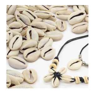 Cowrie <strong>Shell</strong> from 99 Gold Data Vietnam Used for DIY Projects and Artisan Jewelry with Natural Cowrie <strong>Shell</strong> - Product Image 1
