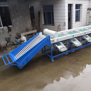 Precision <strong>Sorting</strong> Efficient Packaging <strong>Automation</strong> for Fruits Vegetables Automatic Weighing <strong>Sorting</strong> <strong>Machine</strong> Fruit Processing Plant - Product Image 6