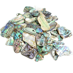 Unpolished Mini <strong>Paua</strong> Shells in Customized Shape - Product Image 2