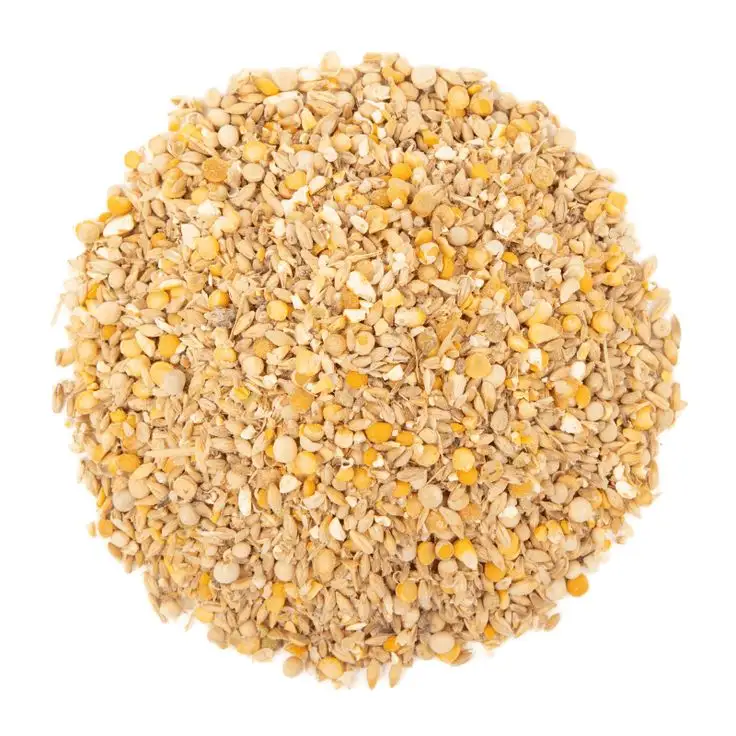 Grains séchés du distillateur jaune indien de haute qualité (DDGS) Résidus solubles Chiens d'alimentation pour animaux riches en protéines de maïs de qualité supérieure