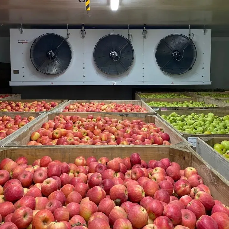 Automatic Tomato Potato 500 Ton to 10 Tons Unit Freezer Frozen Walk in Cooler Room Cold Storage Restaurant Motor Customized