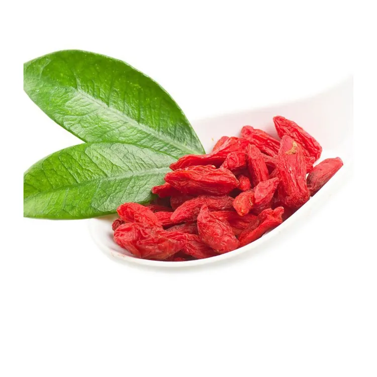 Buah sehat makanan hijau Goji kering alami beri Goji merah kering alami makanan sehat tanaman organik buah kering
