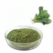 高效益好价格高效100% 天然有机脱水蔬菜菠菜粉制造商在印度 - Product Image 3
